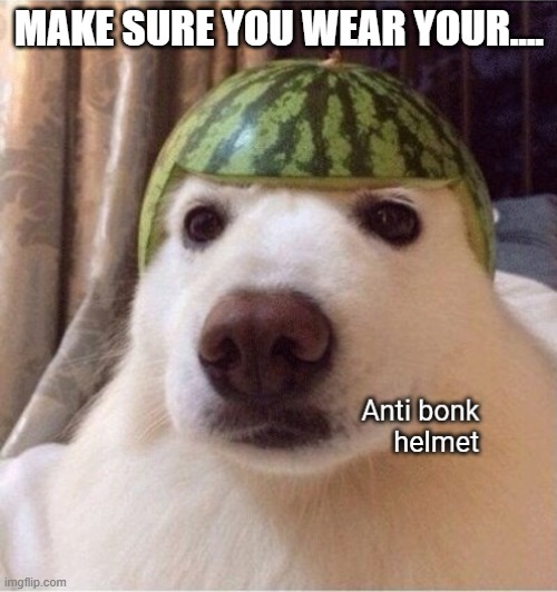 Anti bonk helmet | MAKE SURE YOU WEAR YOUR.... | image tagged in anti bonk helmet | made w/ Imgflip meme maker