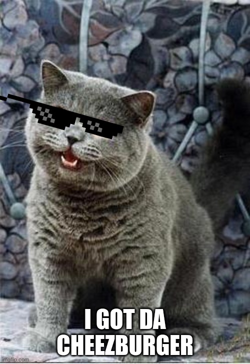 cat | I GOT DA CHEEZBURGER | image tagged in i can has cheezburger cat | made w/ Imgflip meme maker