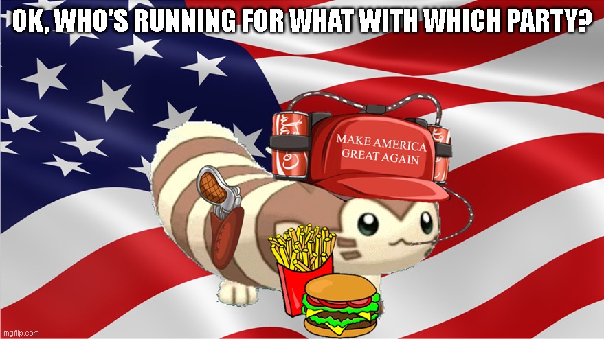 So many changes lol. Please let me know. Please. | OK, WHO'S RUNNING FOR WHAT WITH WHICH PARTY? | image tagged in american furret | made w/ Imgflip meme maker