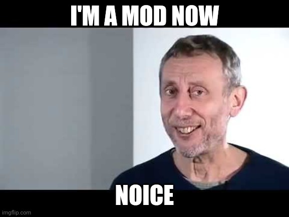 Nice | I'M A MOD NOW; NOICE | image tagged in noice | made w/ Imgflip meme maker