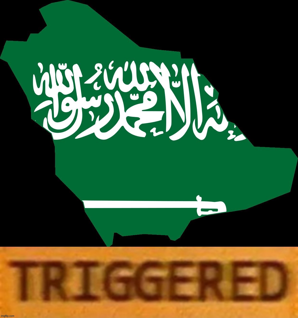 Saudi Arabia triggered | image tagged in saudi arabia triggered | made w/ Imgflip meme maker