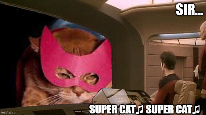 After the Seals... | SIR... SUPER CAT♫ SUPER CAT♫ | image tagged in funny cats,russia,star trek,cats | made w/ Imgflip meme maker