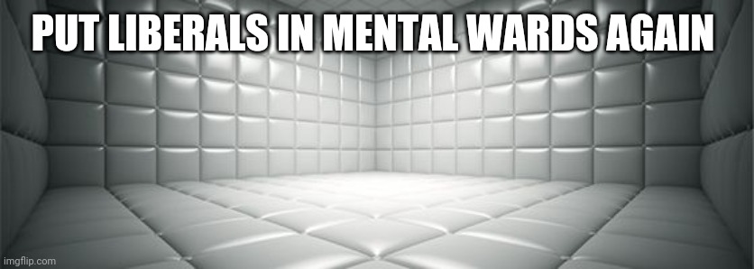 It's where they belong. | PUT LIBERALS IN MENTAL WARDS AGAIN | image tagged in mental hospital | made w/ Imgflip meme maker