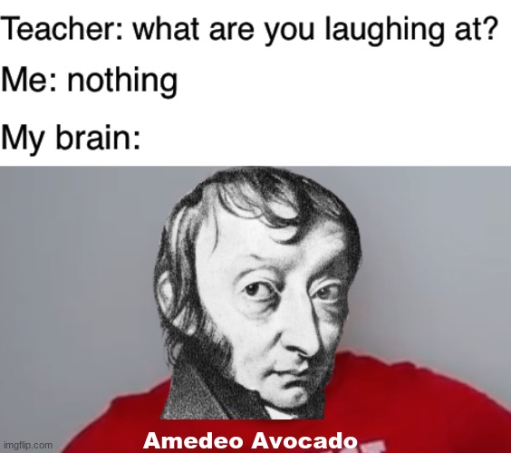 Amedeo Avocado | Amedeo Avocado | image tagged in teacher what are you laughing at,funny,gifs,not really a gif,nikocado avocado,stop reading the tags | made w/ Imgflip meme maker