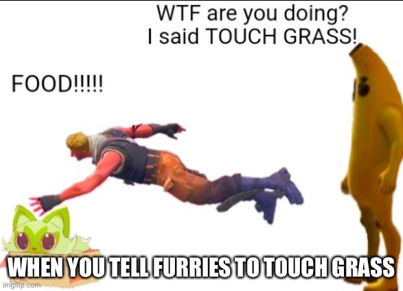 That’s not what I meant… | WHEN YOU TELL FURRIES TO TOUCH GRASS | image tagged in touch grass | made w/ Imgflip meme maker