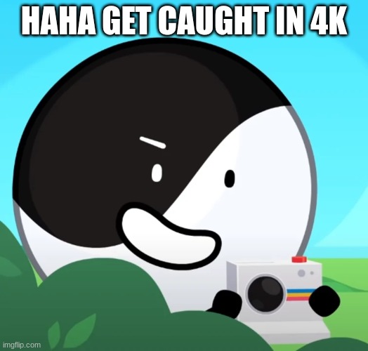 yin-yang catches you in 4k | image tagged in yin-yang catches you in 4k | made w/ Imgflip meme maker
