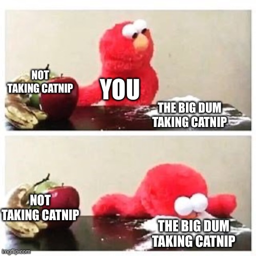 elmo cocaine | NOT TAKING CATNIP THE BIG DUM TAKING CATNIP YOU NOT TAKING CATNIP THE BIG DUM TAKING CATNIP | image tagged in elmo cocaine | made w/ Imgflip meme maker