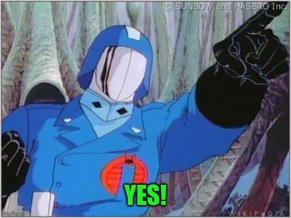 Cobra Commander | YES! | image tagged in cobra commander | made w/ Imgflip meme maker