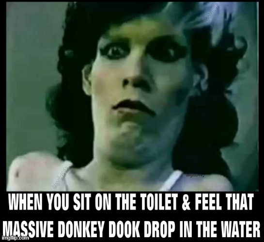 image tagged in goddess bunny,dook,shit,caca,poseidon's kiss,toilet | made w/ Imgflip meme maker