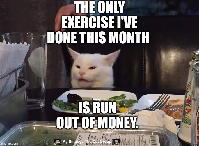  THE ONLY EXERCISE I'VE DONE THIS MONTH; IS RUN OUT OF MONEY. | image tagged in smudge the cat,memes | made w/ Imgflip meme maker