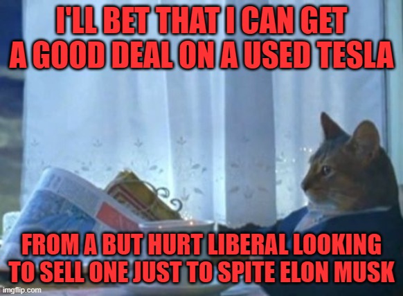 I Should Buy A Boat Cat Meme | I'LL BET THAT I CAN GET A GOOD DEAL ON A USED TESLA FROM A BUT HURT LIBERAL LOOKING TO SELL ONE JUST TO SPITE ELON MUSK | image tagged in memes,i should buy a boat cat | made w/ Imgflip meme maker