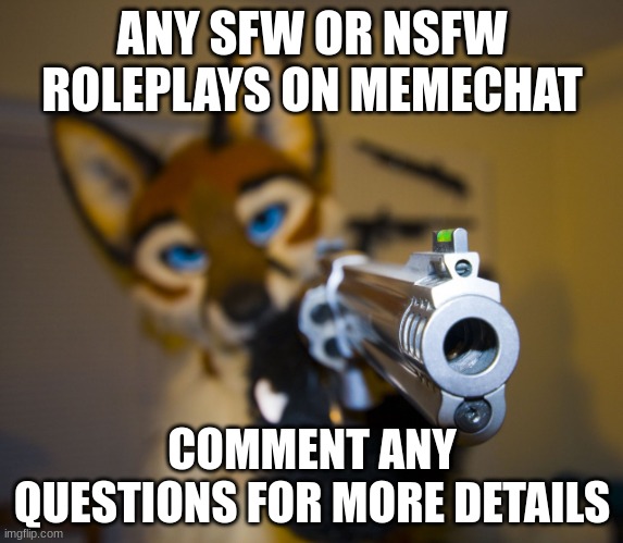 Open until april 29th 5:30 A.M. | ANY SFW OR NSFW ROLEPLAYS ON MEMECHAT; COMMENT ANY QUESTIONS FOR MORE DETAILS | image tagged in furry with gun | made w/ Imgflip meme maker