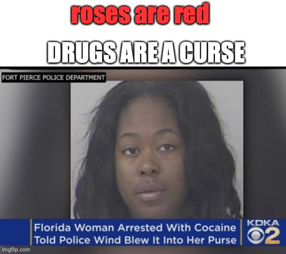 careful that breeze is dangerous | roses are red; DRUGS ARE A CURSE | image tagged in funny,memes,fun,drugs,cops,women | made w/ Imgflip meme maker