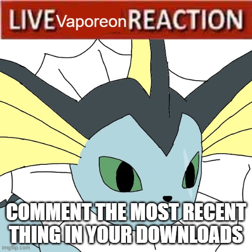 idk | COMMENT THE MOST RECENT THING IN YOUR DOWNLOADS | image tagged in live vaporeon reaction | made w/ Imgflip meme maker