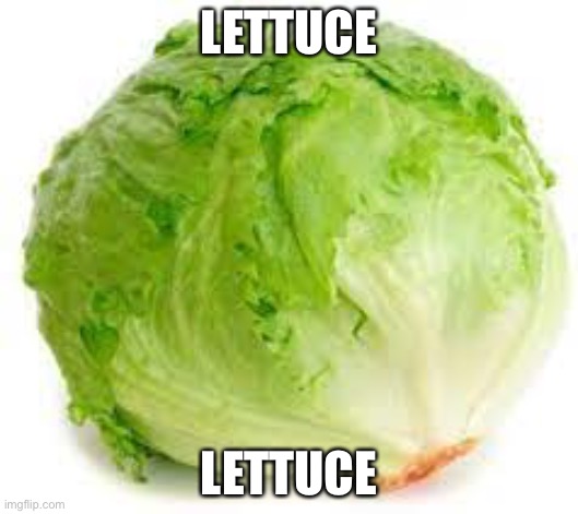 Lettuce |  LETTUCE; LETTUCE | image tagged in lettuce | made w/ Imgflip meme maker
