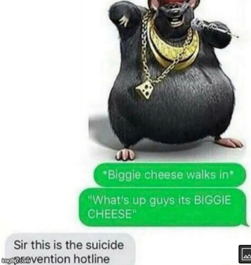 BIGGIE CHEEEEEESE | image tagged in memes,funny,text messages,biggie cheese | made w/ Imgflip meme maker