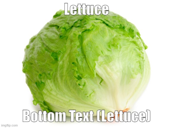 Lettuce  | Lettuce Bottom Text (Lettuce) | image tagged in lettuce | made w/ Imgflip meme maker
