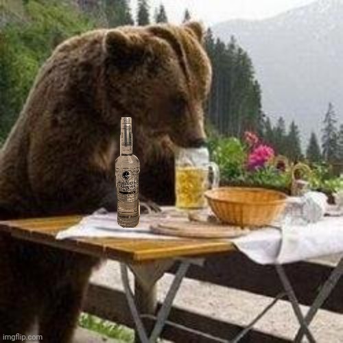 Russian Bear | image tagged in russian,bear,drunk,vodka,but why why would you do that | made w/ Imgflip meme maker
