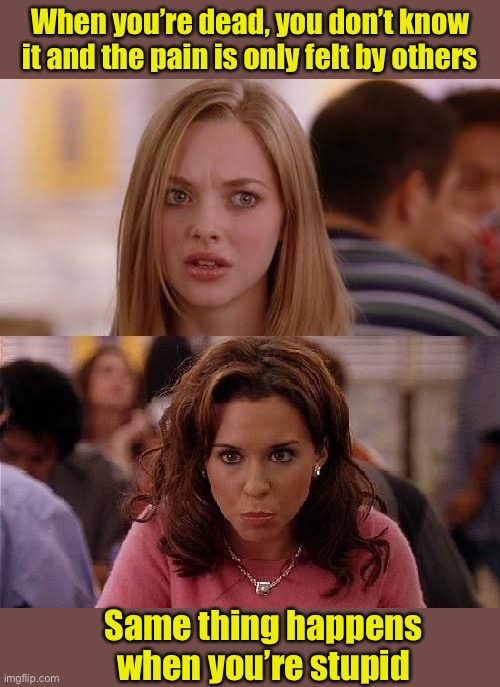 What do death and stupidity have in common? | When you’re dead, you don’t know it and the pain is only felt by others; Same thing happens when you’re stupid | image tagged in mean girls,death,stupidity | made w/ Imgflip meme maker