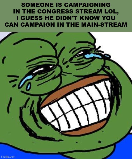 Laughing PEPE | SOMEONE IS CAMPAIGNING IN THE CONGRESS STREAM LOL, I GUESS HE DIDN'T KNOW YOU CAN CAMPAIGN IN THE MAIN-STREAM | image tagged in laughing pepe | made w/ Imgflip meme maker