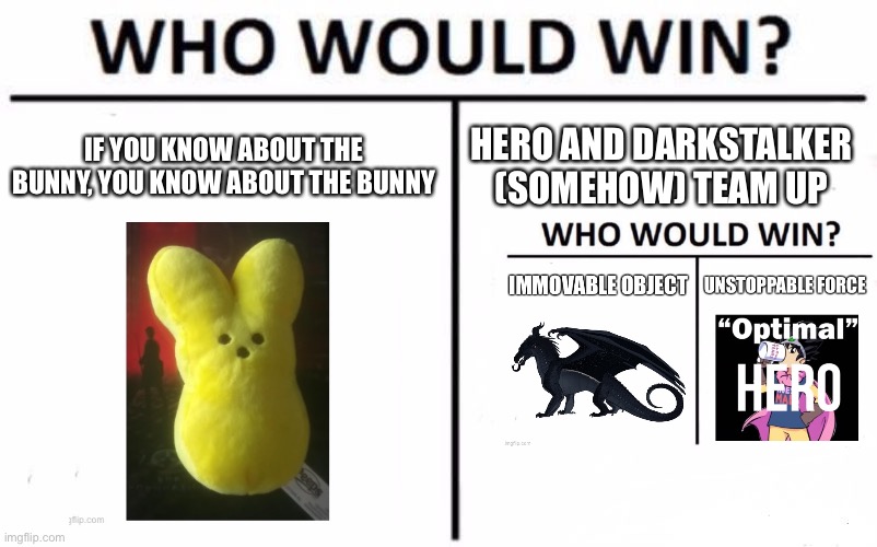 Bunny wins if you ask me | IF YOU KNOW ABOUT THE BUNNY, YOU KNOW ABOUT THE BUNNY; HERO AND DARKSTALKER (SOMEHOW) TEAM UP | image tagged in memes,who would win | made w/ Imgflip meme maker