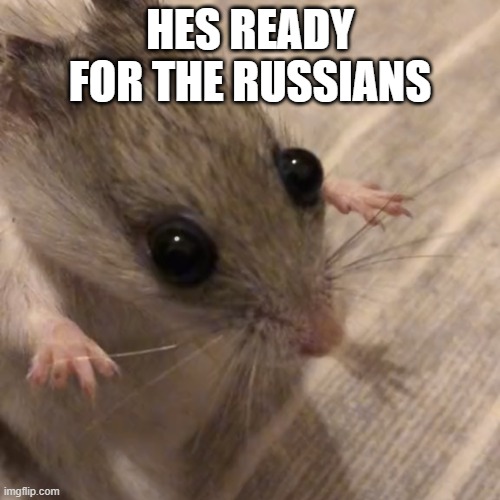 Magic rat | HES READY FOR THE RUSSIANS | image tagged in magic rat,ukraine,russia | made w/ Imgflip meme maker