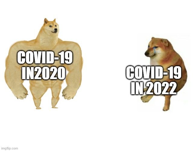 Covid-19 | COVID-19 IN2020; COVID-19 IN 2022 | image tagged in memes,buff doge vs cheems | made w/ Imgflip meme maker
