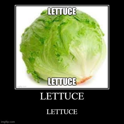 LETTUCE | LETTUCE | LETTUCE | image tagged in funny,demotivationals,lettuce | made w/ Imgflip demotivational maker