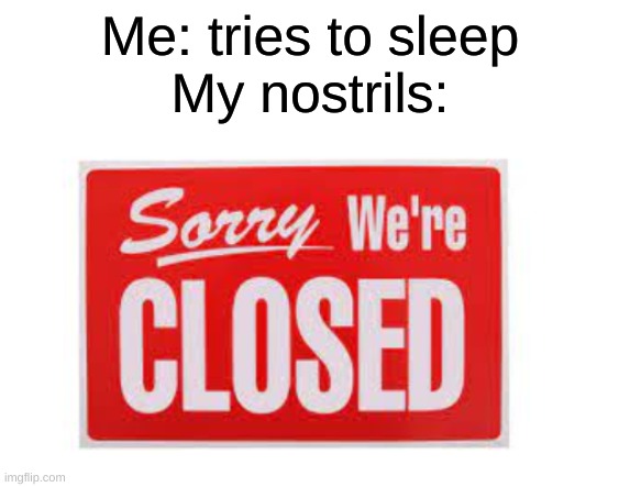 true story |  Me: tries to sleep

My nostrils: | image tagged in so true | made w/ Imgflip meme maker