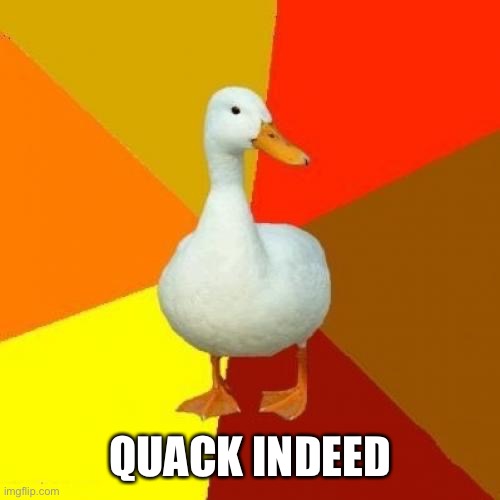 Tech Impaired Duck Meme | QUACK INDEED | image tagged in memes,tech impaired duck | made w/ Imgflip meme maker