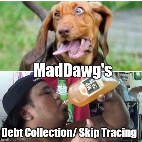 MadDawg.Services | MadDawg's; Debt Collection/ Skip Tracing | image tagged in funny | made w/ Imgflip meme maker