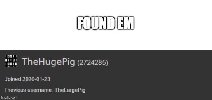 found em | FOUND EM | image tagged in thehugepig,bruh,i spy with my little eye,a bruh moment,why u no stop read tags,e | made w/ Imgflip meme maker