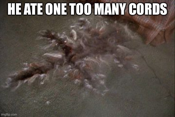 HE ATE ONE TOO MANY CORDS | made w/ Imgflip meme maker