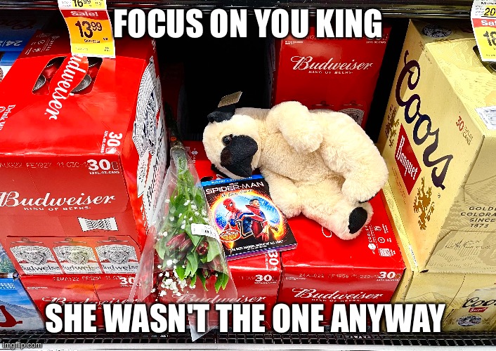 I hope this King is ok |  FOCUS ON YOU KING; SHE WASN'T THE ONE ANYWAY | image tagged in relatable,sad,love,dating,broken heart,relationships | made w/ Imgflip meme maker