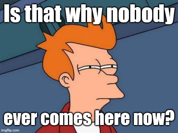 Fry is not sure... | Is that why nobody ever comes here now? | image tagged in fry is not sure | made w/ Imgflip meme maker