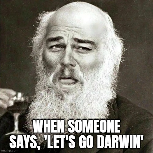 WHEN SOMEONE SAYS, 'LET'S GO, DARWIN' | WHEN SOMEONE SAYS, 'LET'S GO DARWIN' | image tagged in laughing leonardo decaprio django darwin,darwin awards,lets go,darwin,maga,morons | made w/ Imgflip meme maker