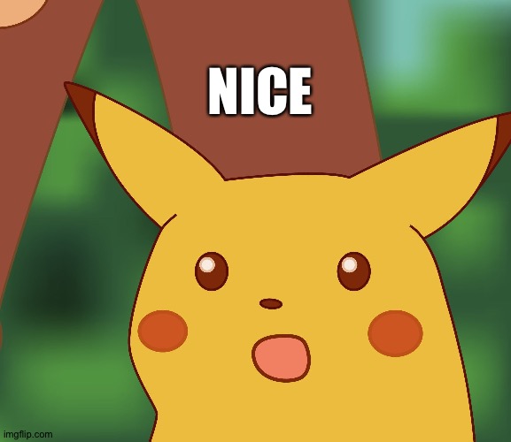 Surprised Pikachu finds out that many are prepared to die but there is no cause for which they are prepared to kill | NICE | image tagged in surprised pikachu hd,business | made w/ Imgflip meme maker