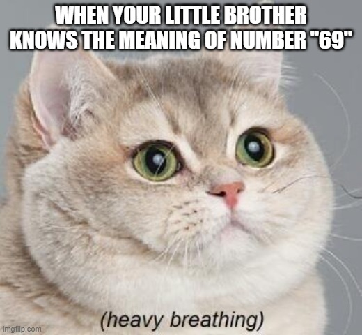 ;) |  WHEN YOUR LITTLE BROTHER KNOWS THE MEANING OF NUMBER "69" | image tagged in memes,heavy breathing cat,69 | made w/ Imgflip meme maker