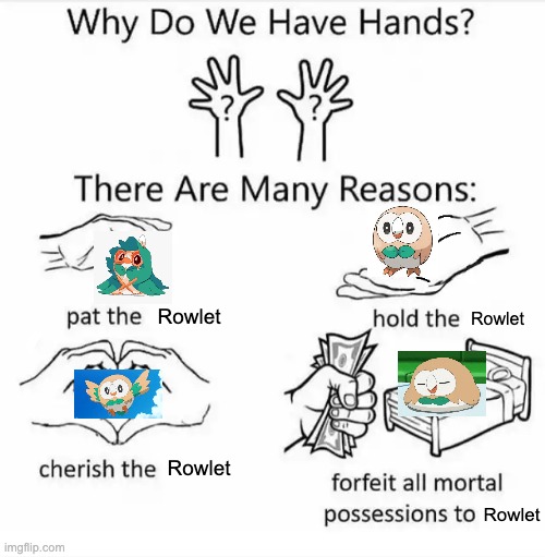 Why do we have hands? (Rowlet) | Rowlet; Rowlet; Rowlet; Rowlet | image tagged in why do we have hands all blank,rowlet | made w/ Imgflip meme maker