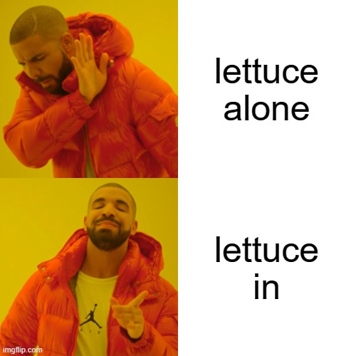 Drake Hotline Bling Meme | lettuce alone lettuce in | image tagged in memes,drake hotline bling | made w/ Imgflip meme maker