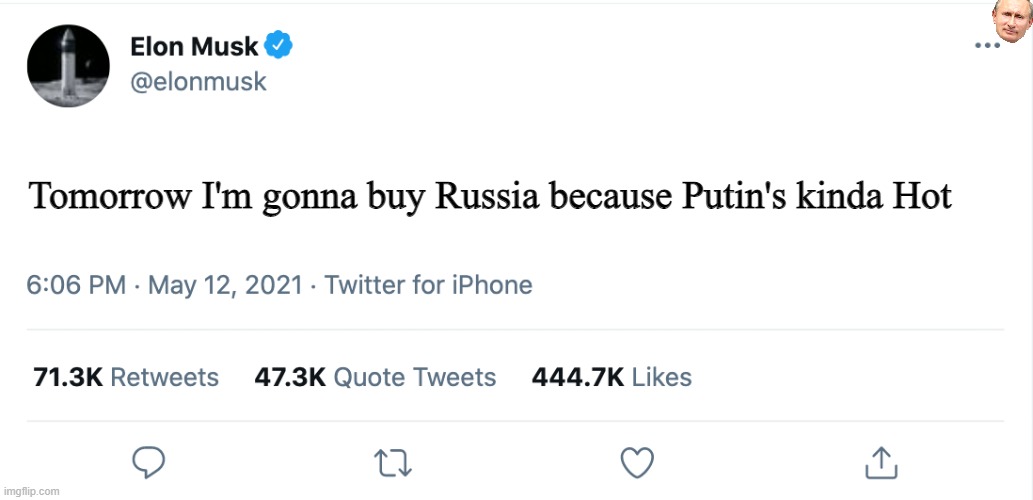 Elon Musk Blank Tweet | Tomorrow I'm gonna buy Russia because Putin's kinda Hot | image tagged in elon musk blank tweet | made w/ Imgflip meme maker
