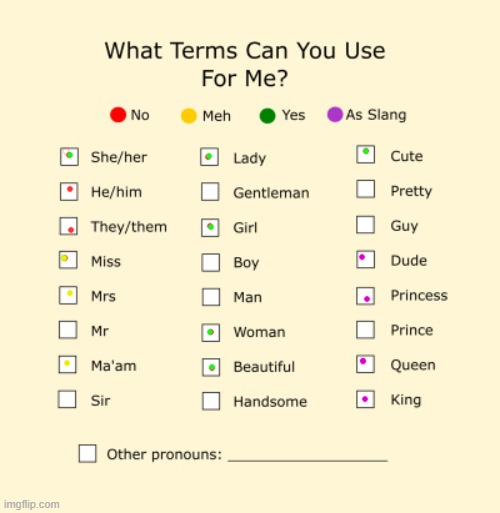 Here ya go | image tagged in pronouns sheet | made w/ Imgflip meme maker