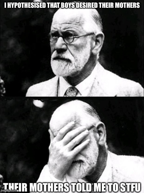 Freudian slip | I HYPOTHESISED THAT BOYS DESIRED THEIR MOTHERS; THEIR MOTHERS TOLD ME TO STFU | image tagged in freud,sigmund freud,oedipus,complex | made w/ Imgflip meme maker