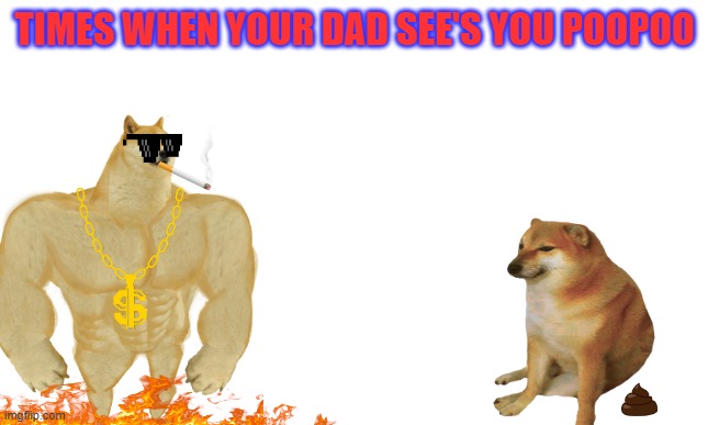 Times when your Dad see's you poop on the floor | TIMES WHEN YOUR DAD SEE'S YOU POOPOO | image tagged in doge | made w/ Imgflip meme maker