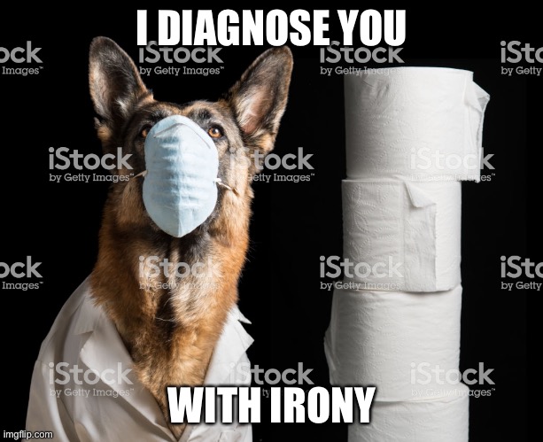 You have been visited by Dr. Doggo | I DIAGNOSE YOU WITH IRONY | image tagged in you have been visited by dr doggo,irony | made w/ Imgflip meme maker