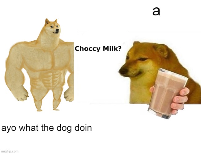 ayo | a; ayo what the dog doin | image tagged in funny | made w/ Imgflip meme maker