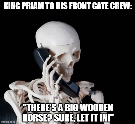 Trojan MAN!!! | KING PRIAM TO HIS FRONT GATE CREW:; "THERE'S A BIG WOODEN HORSE? SURE, LET IT IN!" | image tagged in skeleton on phone | made w/ Imgflip meme maker