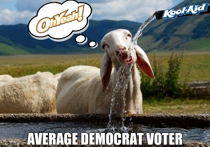 Don't Drink The Cool-Aid. | AVERAGE DEMOCRAT VOTER | image tagged in memes,democrats,lies,corruption,deceitful democrats,political meme | made w/ Imgflip meme maker