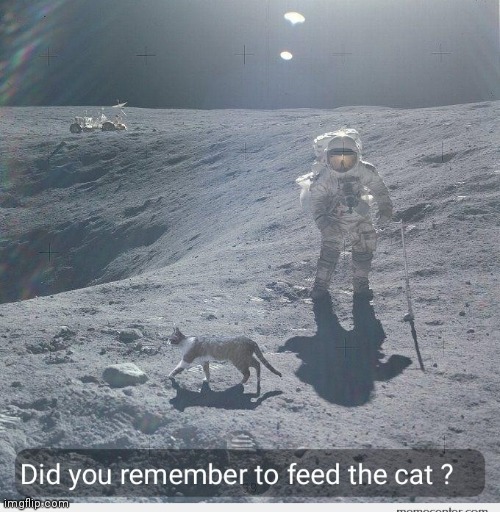 Here litty | image tagged in moon,fake,kitty | made w/ Imgflip meme maker