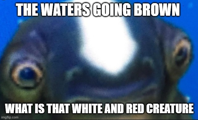 "Reaper Encounter" Subnautica meme | THE WATERS GOING BROWN; WHAT IS THAT WHITE AND RED CREATURE | image tagged in subnautica seamoth cuddlefish | made w/ Imgflip meme maker